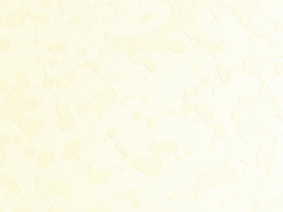 藝術油漆 - 絲絨系列 CARAVAGGIO_528H