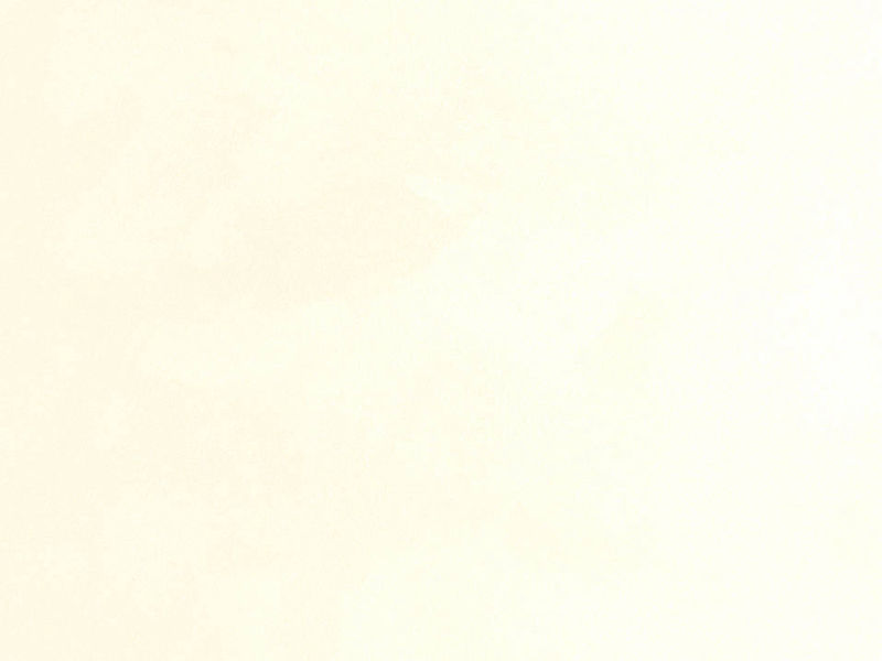 藝術油漆 - 絲絨系列 CARAVAGGIO_519H