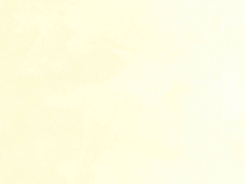 藝術油漆 - 絲絨系列 CARAVAGGIO_520H